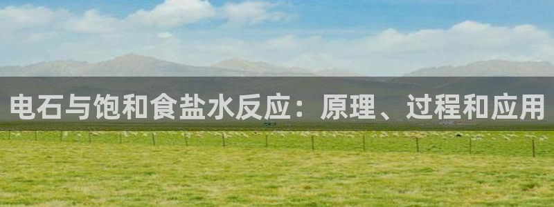 威九国际APP客服