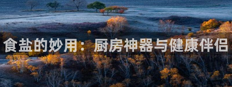 威九国际网站客服电话多少啊