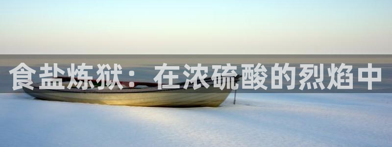 威九国际精免费下载