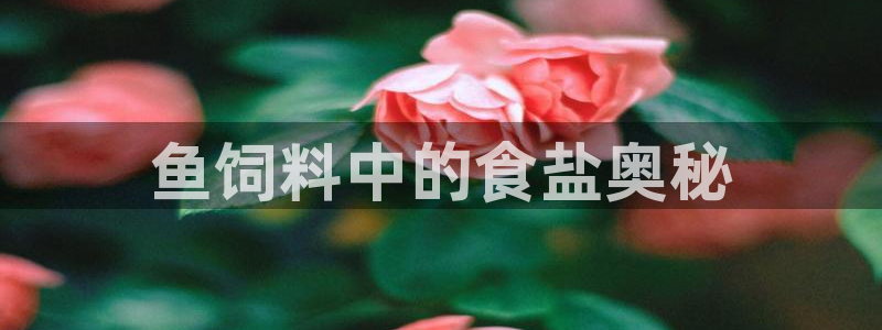 威九国际客服电话号码是多少