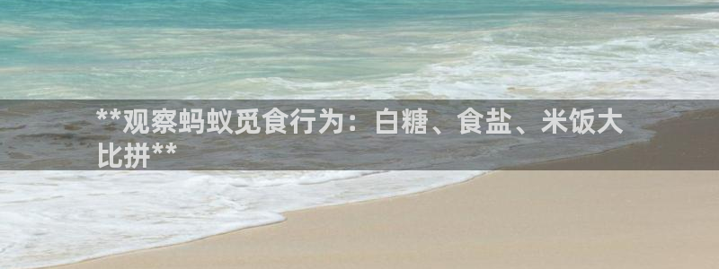 威九国际66m66m