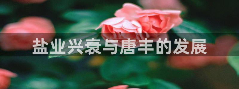 威九国际女演员名单介绍