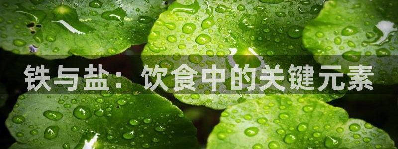 威九国际app大全下载安装