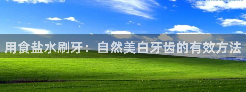 威九国际的金融服务