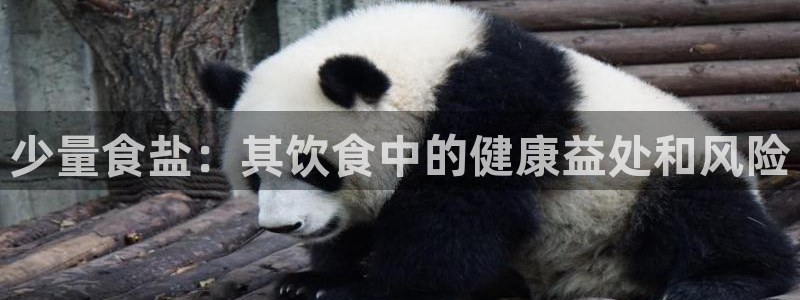 威九国际特殊奖励