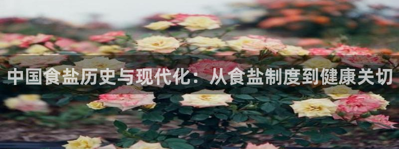 威九code6070