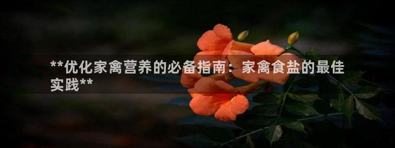 威九国际66m66成长模式免费