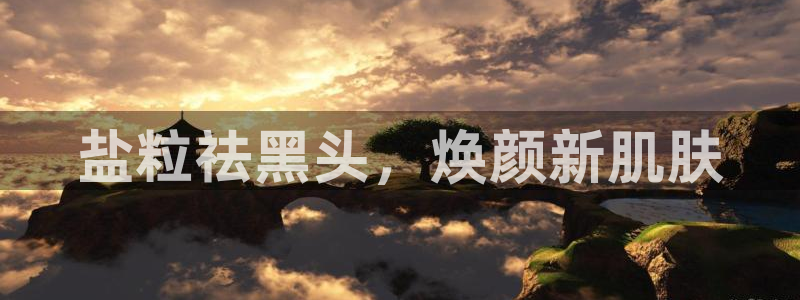 威九国际免费ppt网址