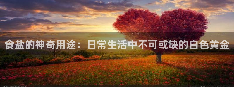 威九国际精免费下载