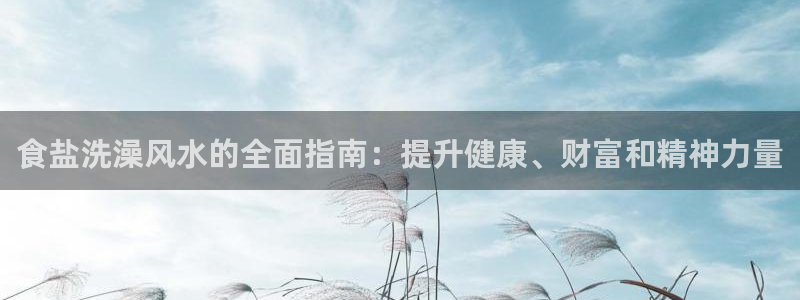 威九国际PPT