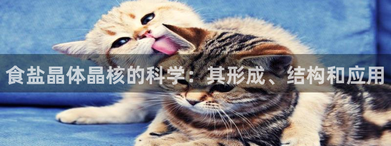78mapp威九国际