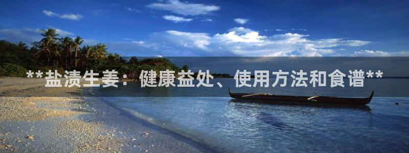 威九国际软件公司简介