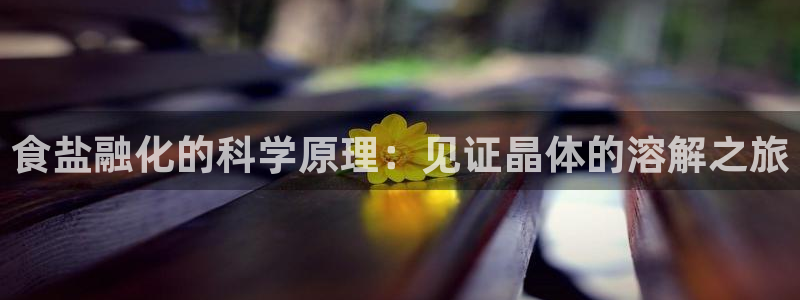 威九国际HP