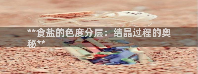 威九国际电子有限公司
