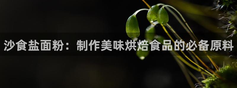 威九国际男主