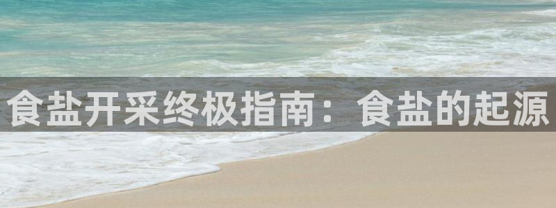 威九国际网站是多少