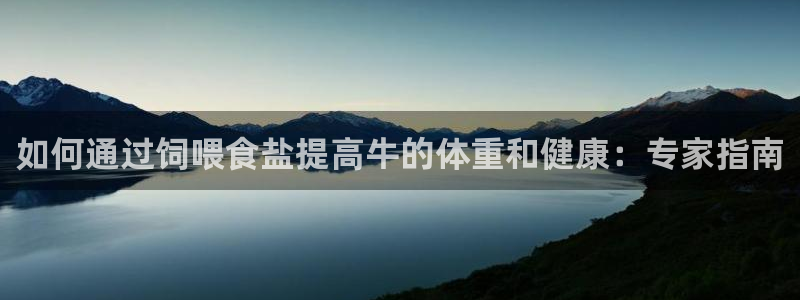 威九国际网站入口官网首页