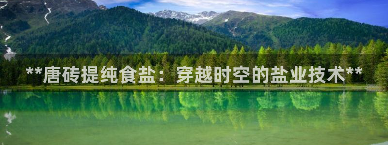 威九国际APP大全