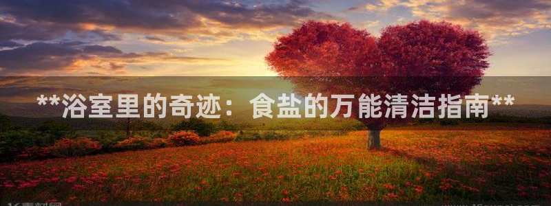 威九国际网站更新