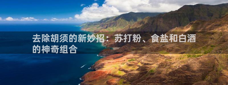 威九国际v9