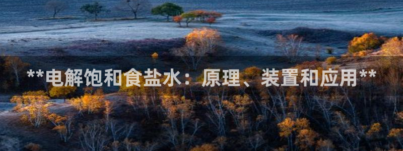 威九国际网页看视频弹窗的广告拦截插件