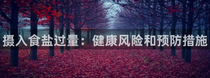 66m威九国际精选