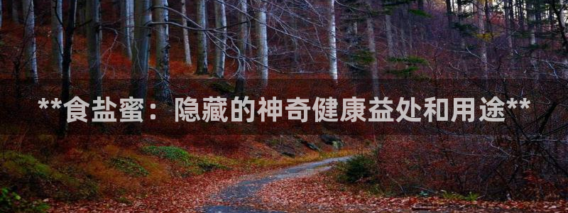 威九国际app网站