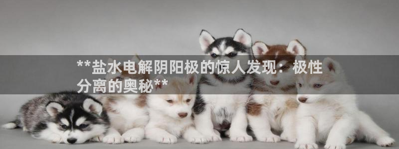 威九国际66m入口