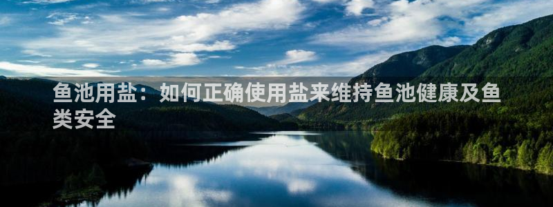 威九国际78m小说