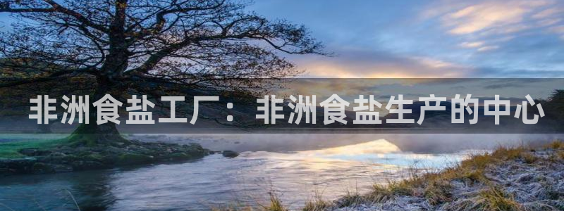 威九国际网站入囗