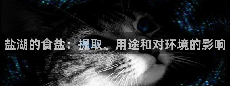 威九国际APP