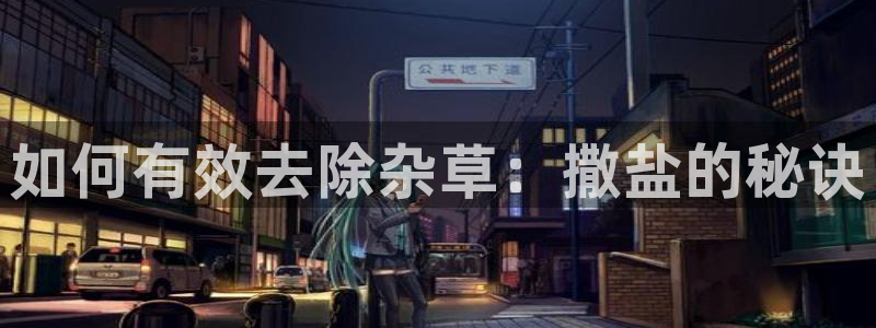 威九国际66m免费版