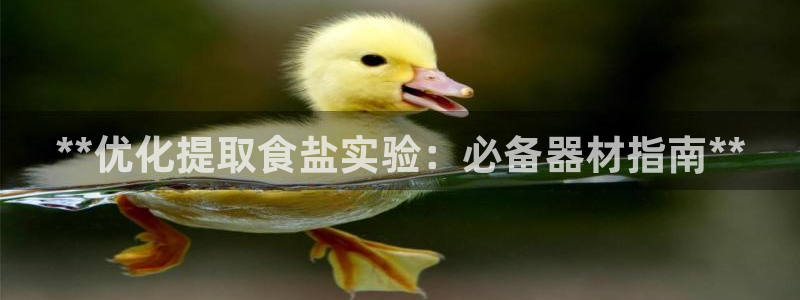 威九国际v96bet官网版