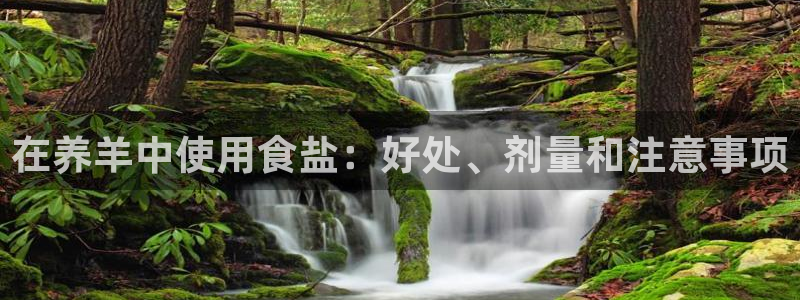 威九国际app入口在哪
