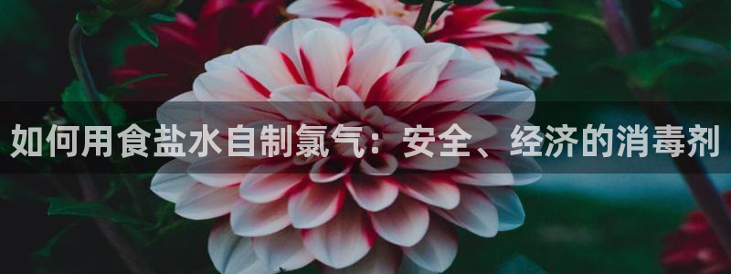 威九国际app大全下载安装