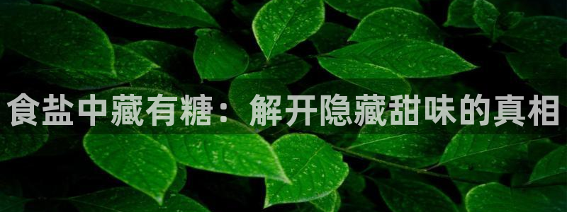 威九国际ft