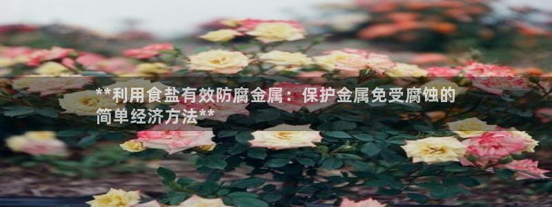 威九国际66m66
