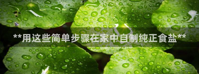 威九国际app无法登陆怎么回事