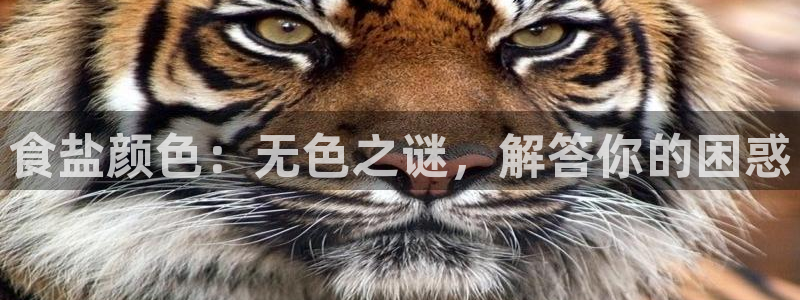 威九国际入囗