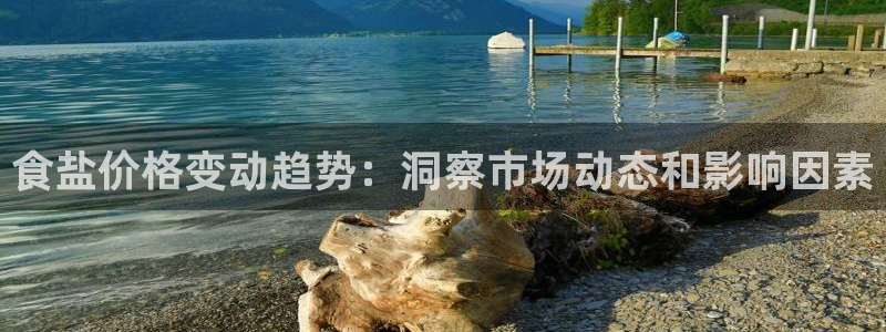 威九国际客服电话号码查询