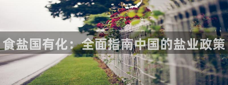 威九国际H