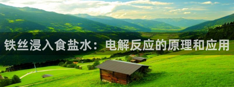 威九国际HP