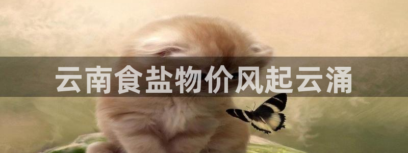 威九国际游戏app(网站)