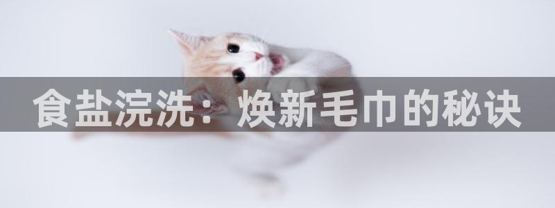 威九国际精选酒店电话