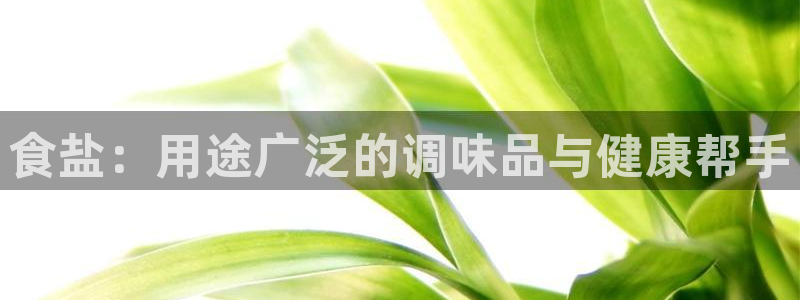 威九国际黑钱