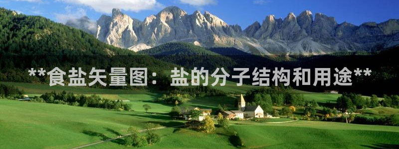威九国际网站入口官网首页