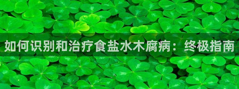 威九国际m78