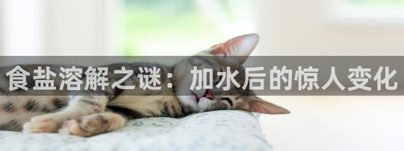 威九国际v96bet官网版