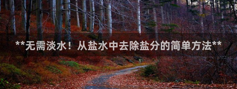 威九国际理论片最经典十首歌曲