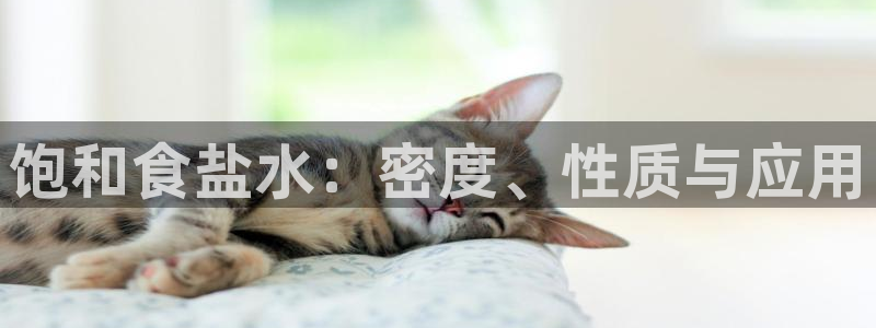 威九国际女星